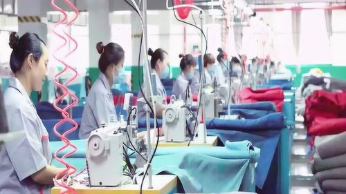 圣柏菲居家布艺 在都市喧嚣中寻回宁静的一隅