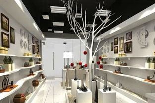 晶美饰品加盟 开启家居饰品销售新篇章